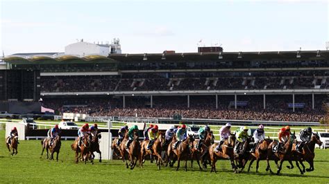 Cheltenham Festival tips for TODAY: Day two top picks including.